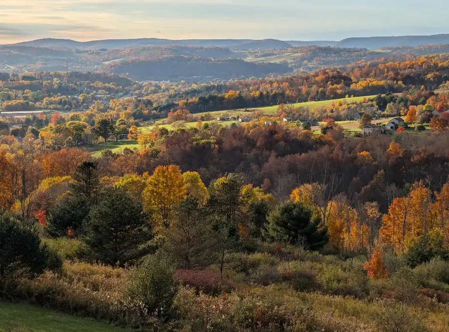 341 Cherry Flats Rd, Wellsboro, PA 16901 - #2