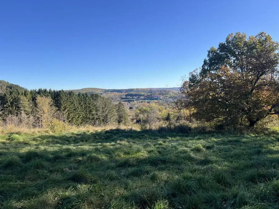 113 Pickle Hill Road, Mansfield, PA 16933 - #2