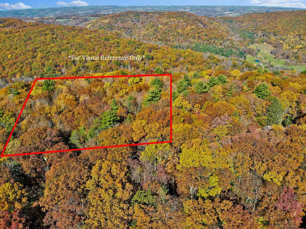 00 Baldwin Run Acres Lane, Wellsboro, PA 16901 - #1
