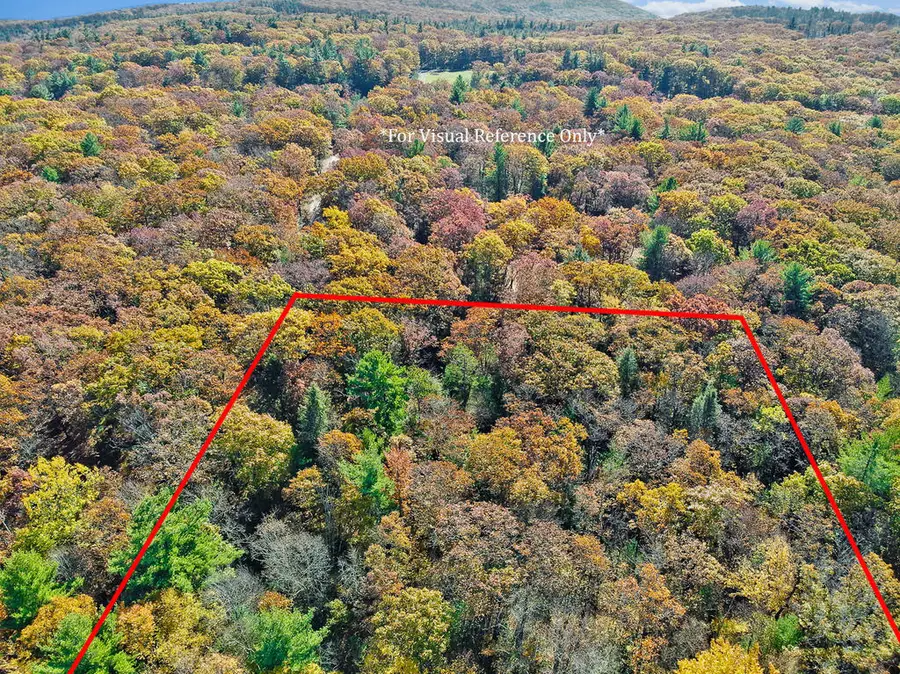 00 Baldwin Run Acres Lane, Wellsboro, PA 16901 - #3