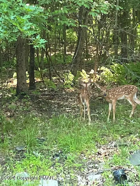 #3