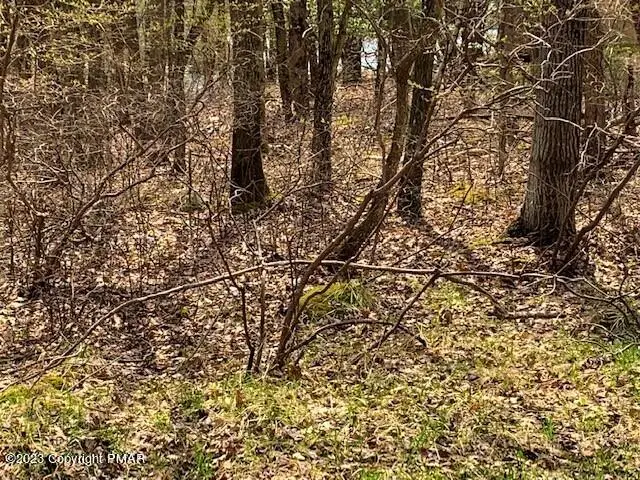 #3