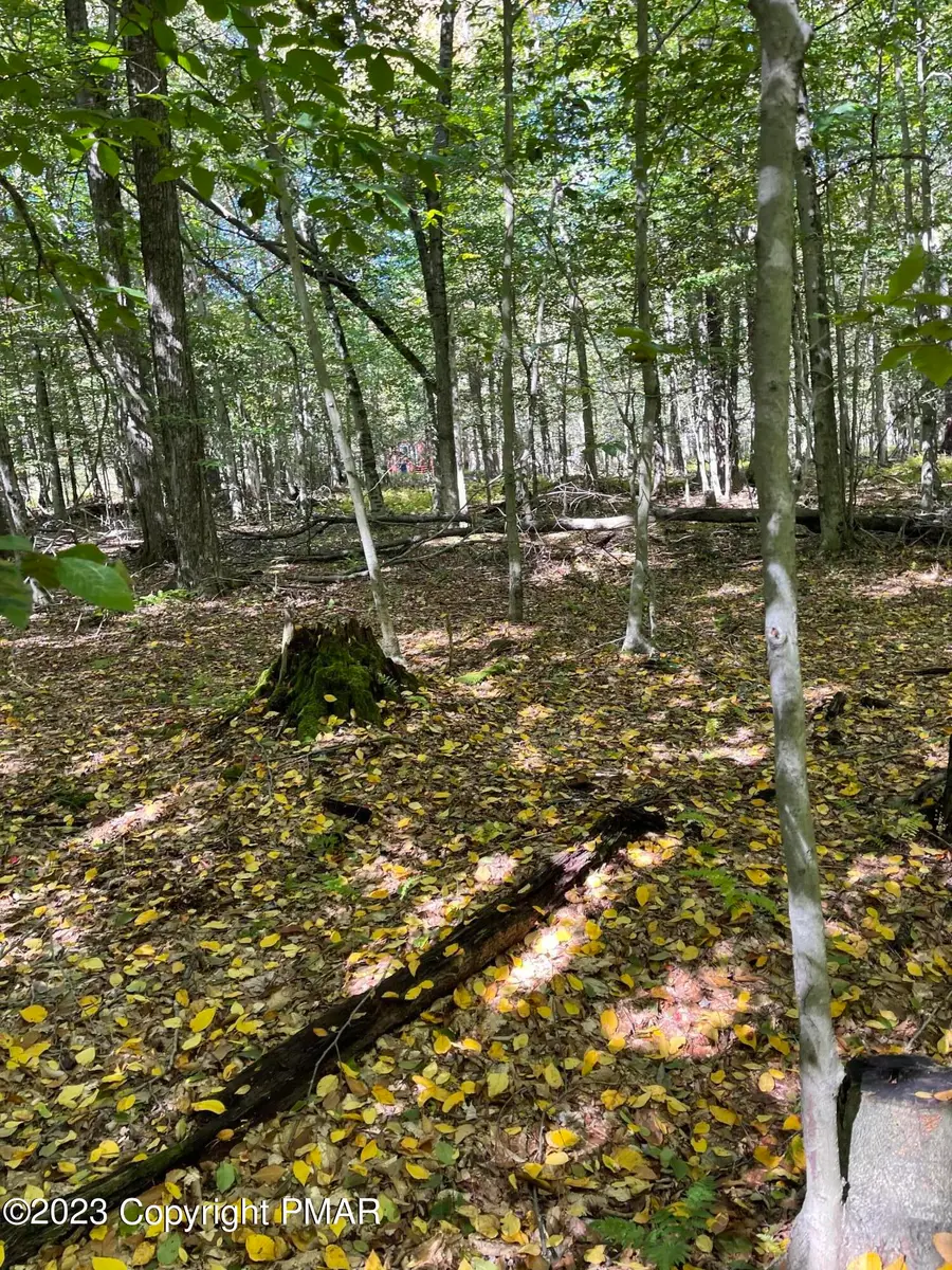 FF33HF Breezewood Drive, Albrightsville, PA 18210 - #2