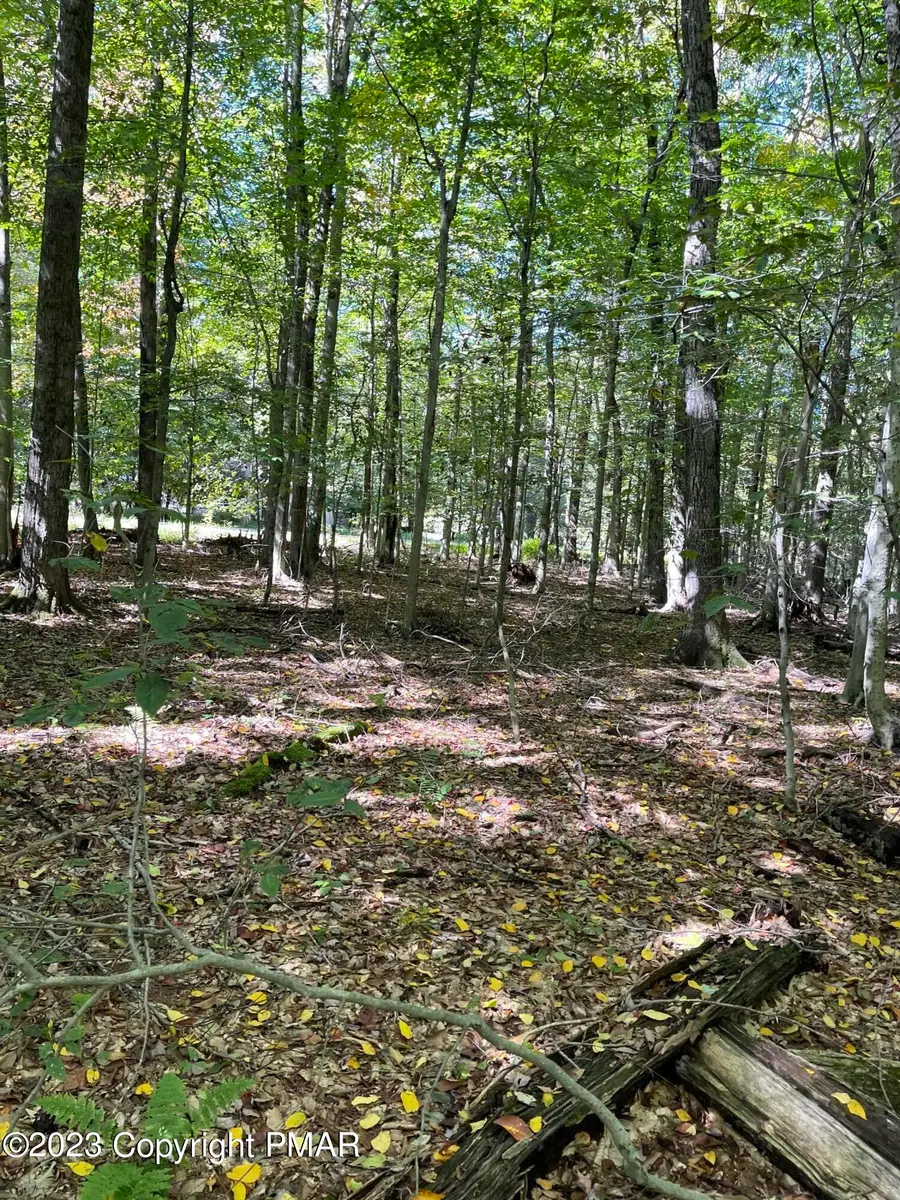 FF33HF Breezewood Drive, Albrightsville, PA 18210 - #3