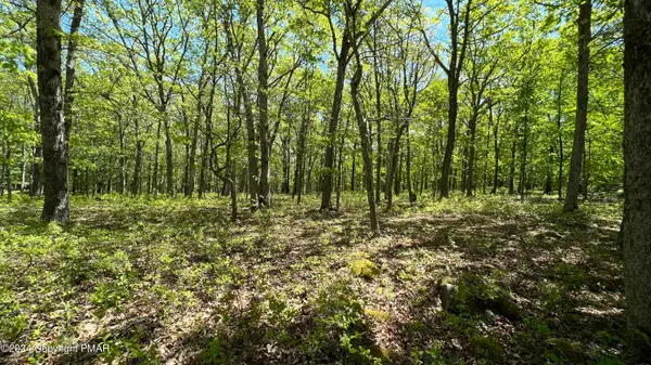 Lot 151 Bear Drive, Bushkill, PA 18324