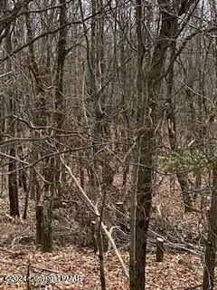 #3