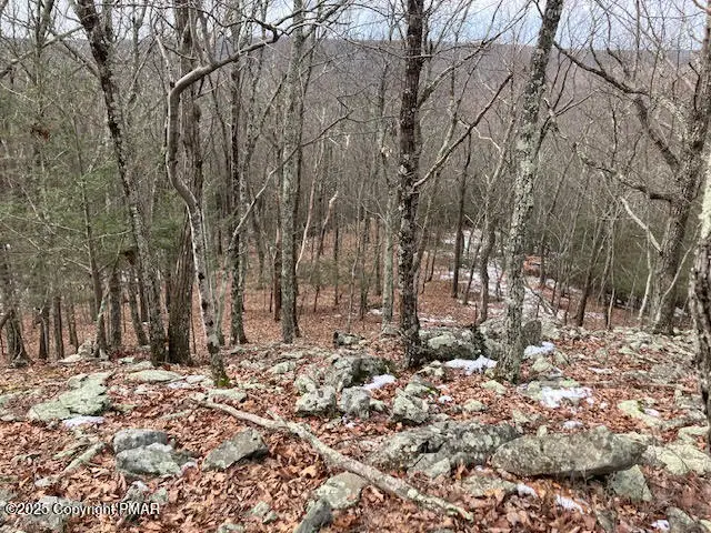 #3