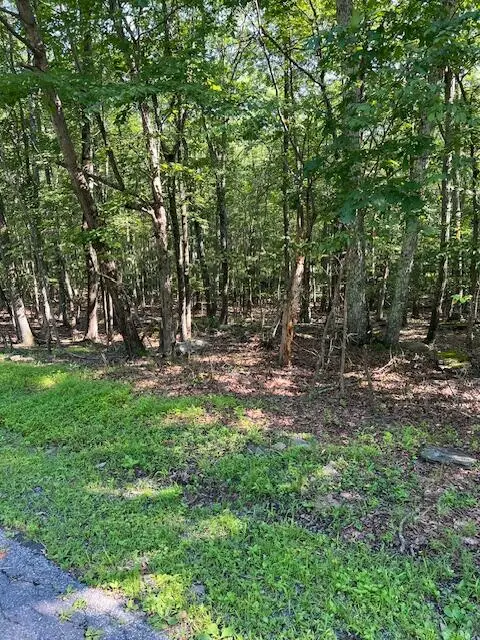 Pocono Forested Dr 22 Drive, East Stroudsburg, PA 18302