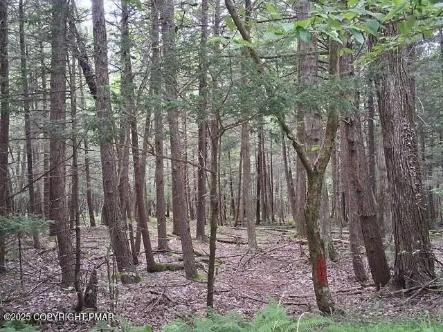 #3