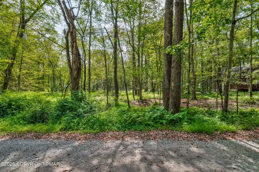 804 Evergreen Drive, Pocono Lake, PA 18347 - #3
