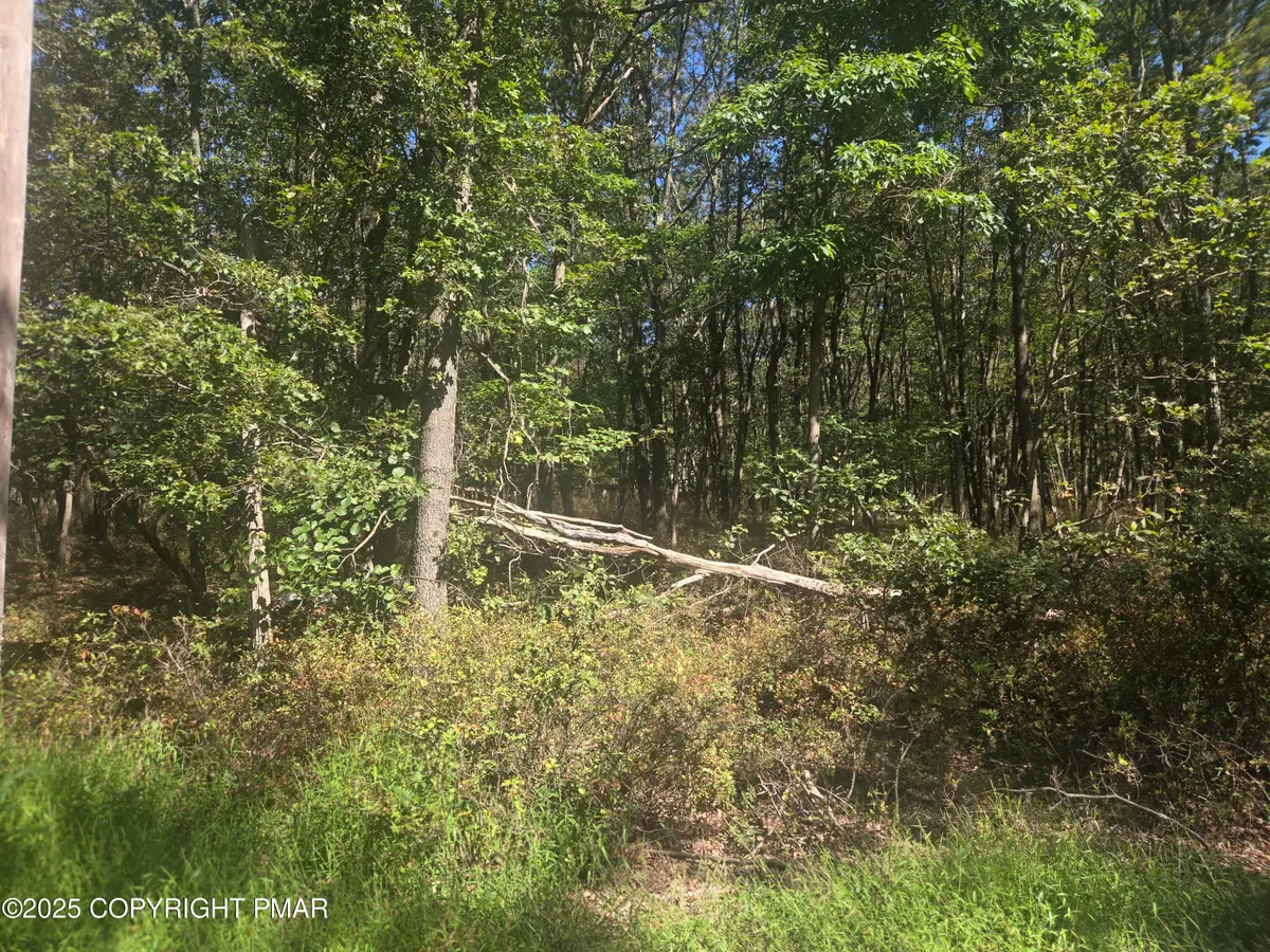 0 Ute Trail, Albrightsville, PA 18210 - Image #1