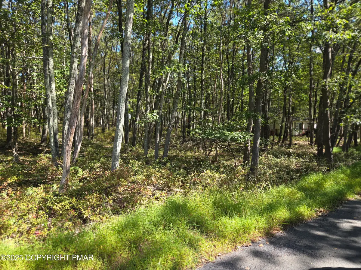 0 Iowa Road, Albrightsville, PA 18210 - Image #1