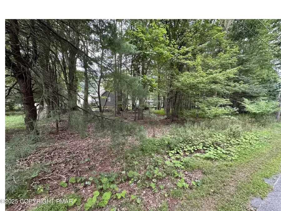 Park Ave 38 Avenue, Mount Pocono, PA 18344 - Image #2