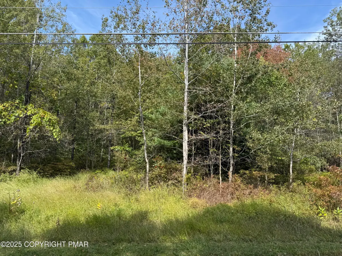 223 Wolf Drive, Jim Thorpe, PA 18229 - Image #1