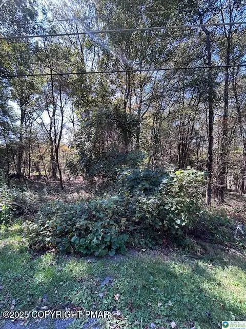 Lot I731 Yellow Run Road, Jim Thorpe, PA 18229 - Image #3