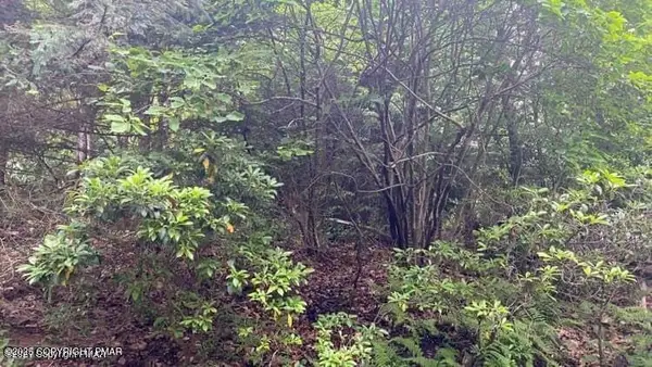 9 Sky Hawk Trail, Scotrun, PA 18355