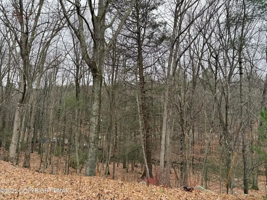 88 Fairfax Ter 88 Terrace, East Stroudsburg, PA 18301 - Image #3