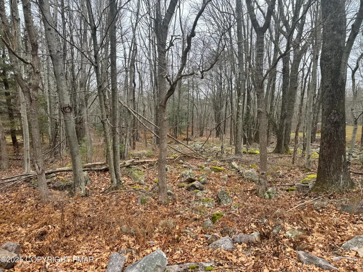 Crest View Dr 45 Aka Birch Drive, Blakeslee, PA 18610 - Image #1