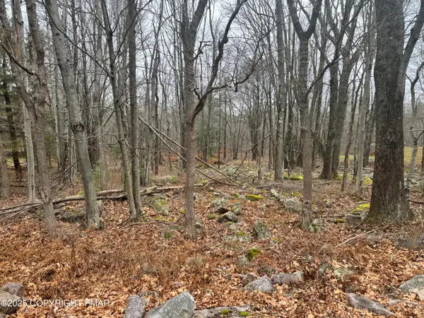 Crest View Dr 45 Aka Birch Drive, Blakeslee, PA 18610