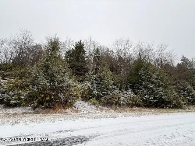 Lot 102 Minsi Trail W, Long Pond, PA 18334 - Image #2