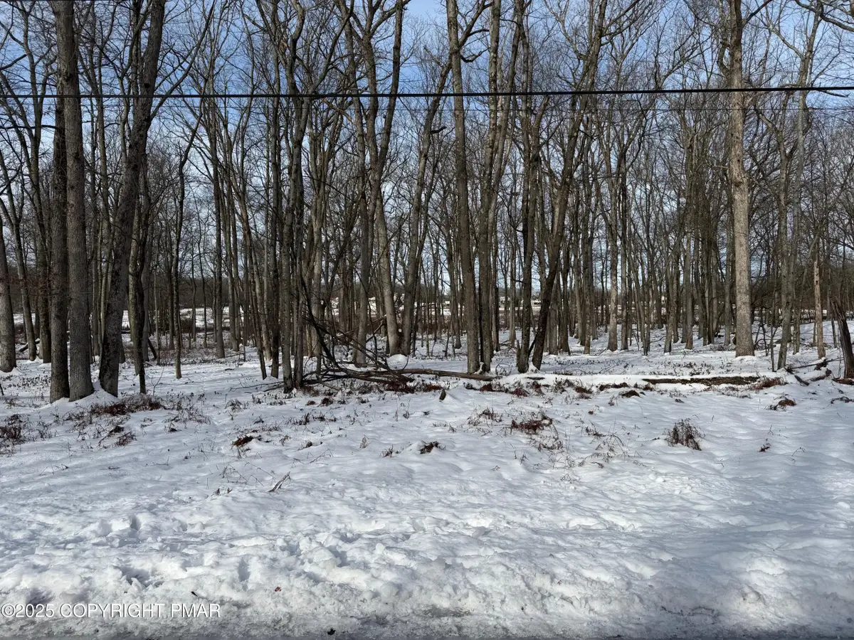 Lot 139LAN Willow Drive, Jim Thorpe, PA 18229 - Image #1