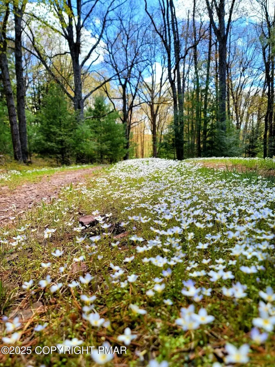 614 Graystones Jeras Lot Hv-3 Road, Albrightsville, PA 18210 - Image #2