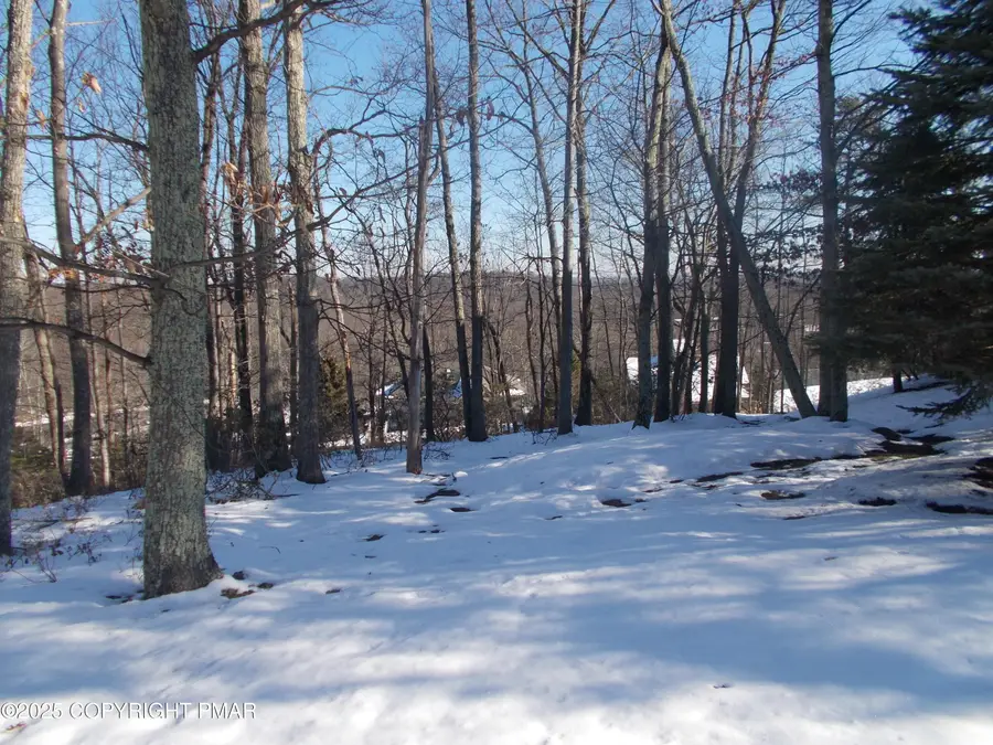 78 High Mountain Lane, Tannersville, PA 18372 - Image #2