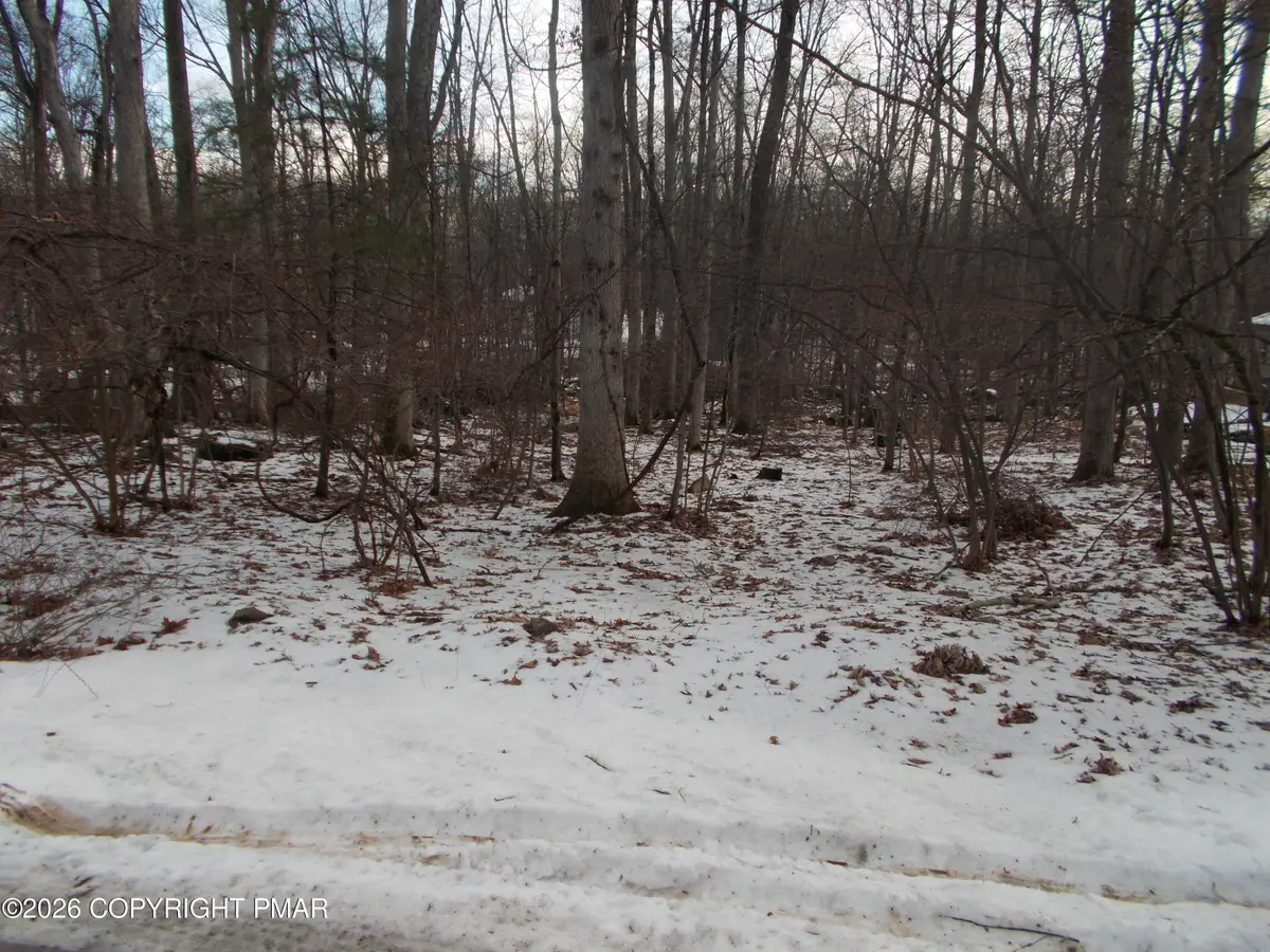 514 Bromley Road, Henryville, PA 18332 - Image #1