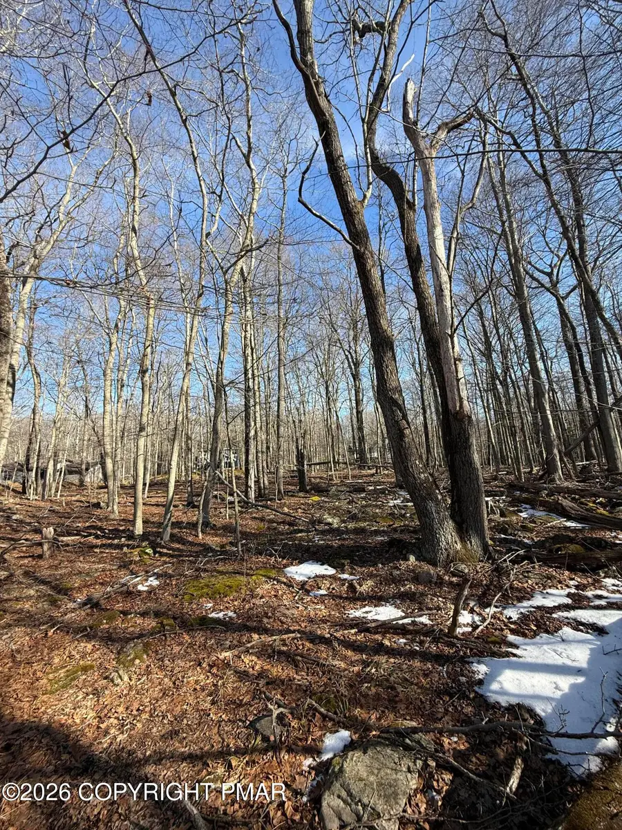 803 Selig Rd, Pocono Lake, PA 18347 - Image #3
