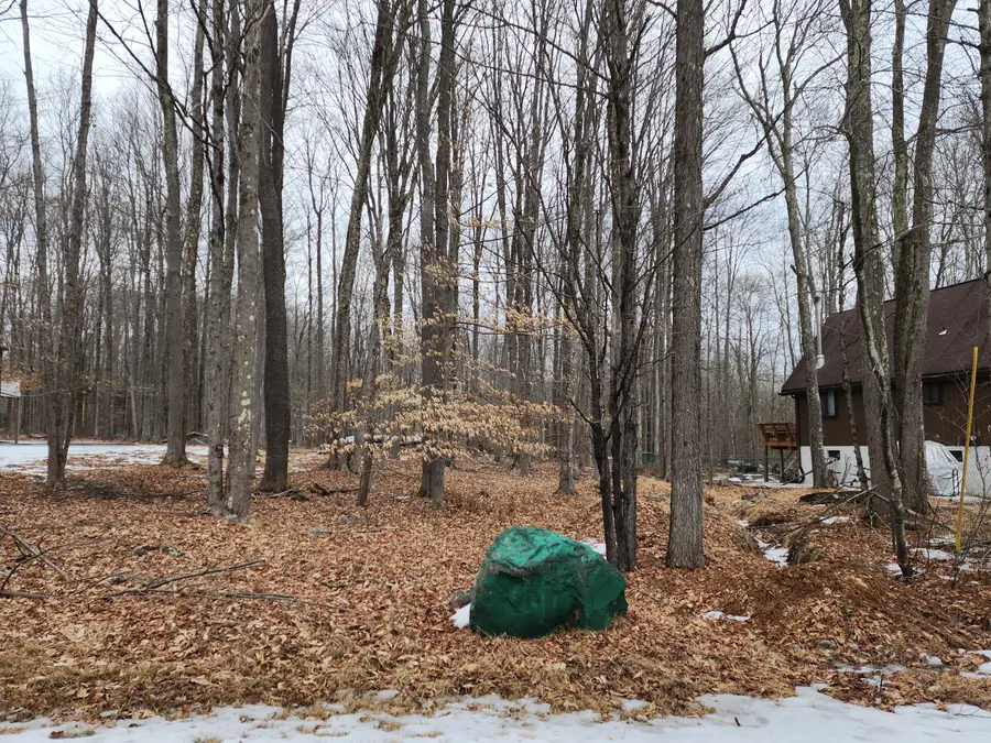 107 Mineola Cir 107 Circle, Pocono Lake, PA 18347 - Image #3