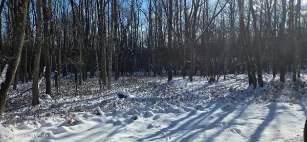 EP2106 Old Stage Road, Albrightsville, PA 18210