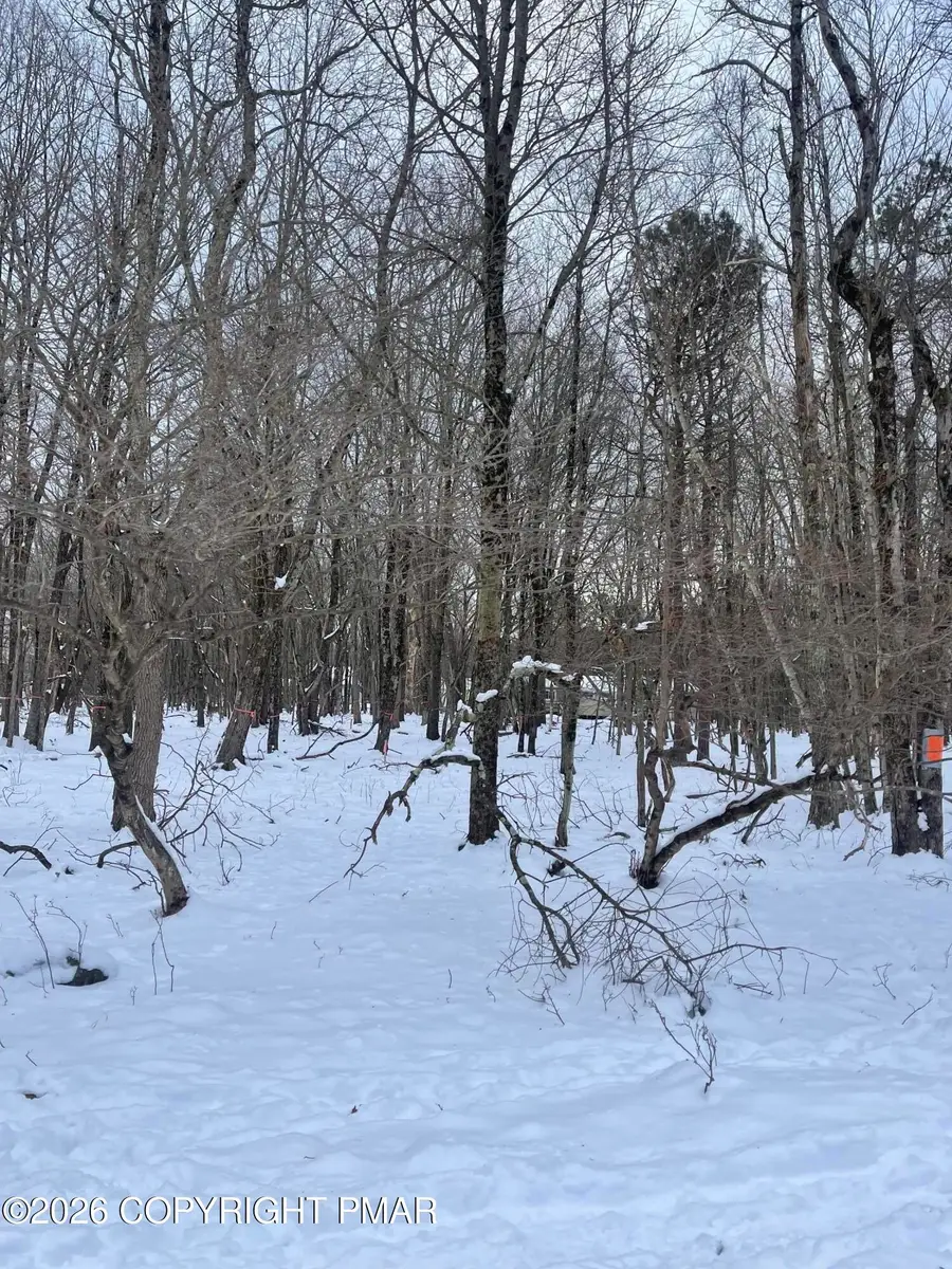 Caedman Drive, Albrightsville, PA 18210 - Image #2