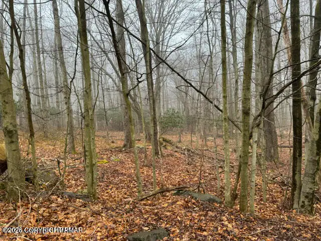 Lookout Point Rd, Lot 91, Canadensis, PA 18325 - Image #2