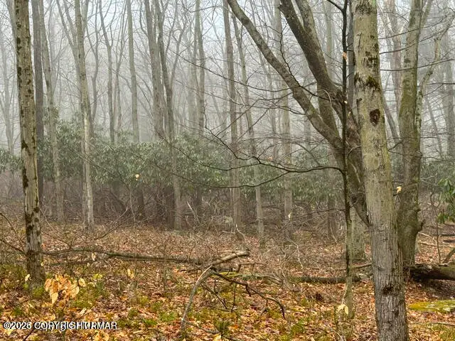 Lookout Point Rd, Lot 91, Canadensis, PA 18325 - Image #3