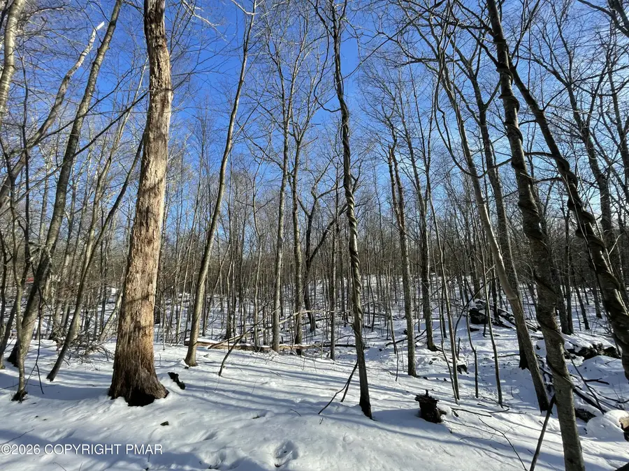 Berry Ln 217 Lane, Cresco, PA 18326 - Image #3