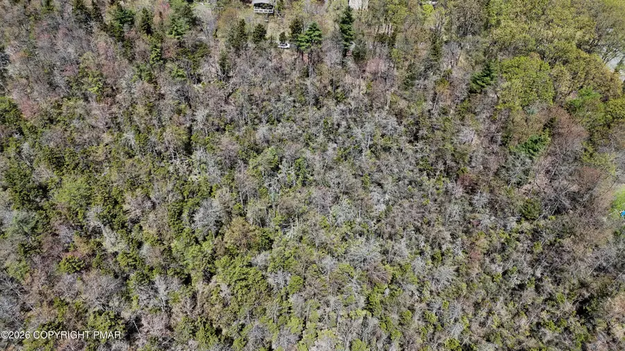 Lot 624 Laurel Road, Pocono Summit, PA 18346 - Image #3