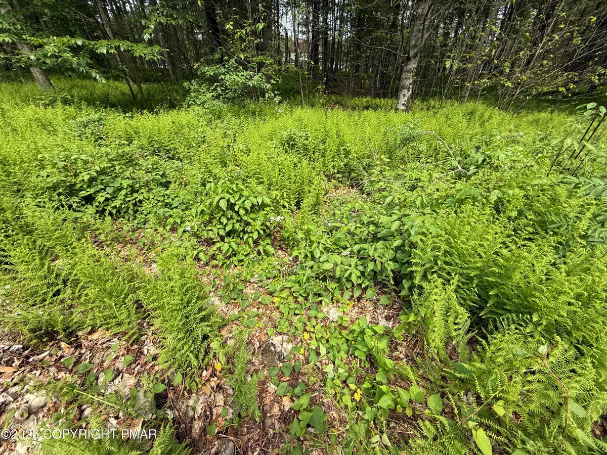 Dorshimer Ave, Blakeslee, PA 18610 - #1