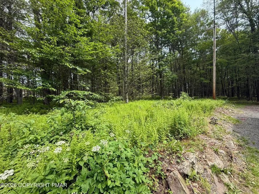 Dorshimer Ave, Blakeslee, PA 18610 - #3