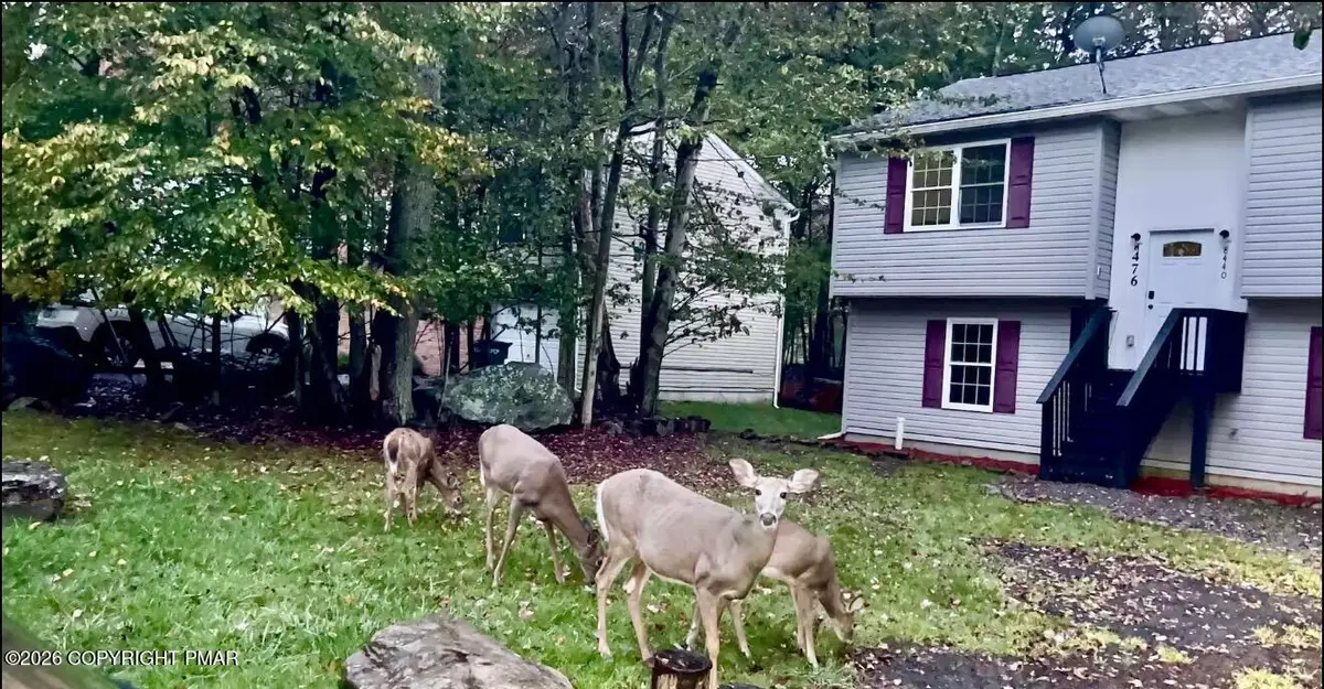 8440 Bear Trail Drive, Tobyhanna, PA 18466 - #1