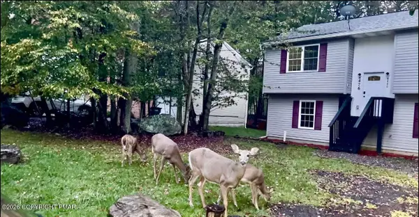 8440 Bear Trail Drive, Tobyhanna, PA 18466