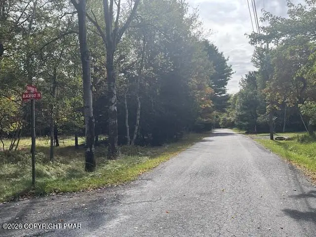 Chippewa Trail, Albrightsville, PA 18210 - #3