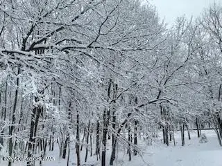 000 Mallard Lane, Bushkill, PA 18324 - #2