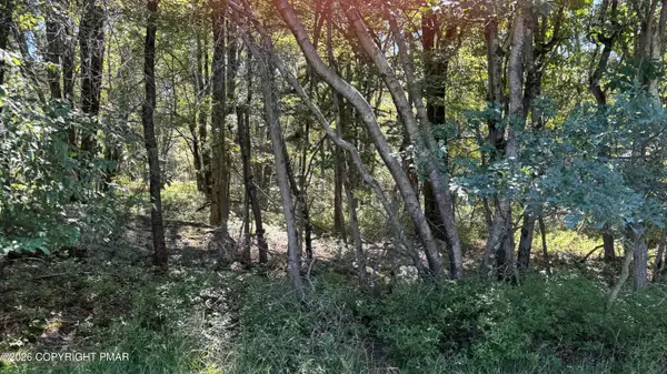 Lot 45 Elk Dr Lot 45 Drive, Blakeslee, PA 18610