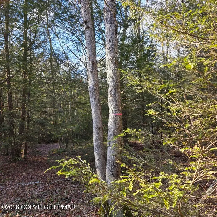 Snowy Ridge, Jim Thorpe, PA 18229 - #2