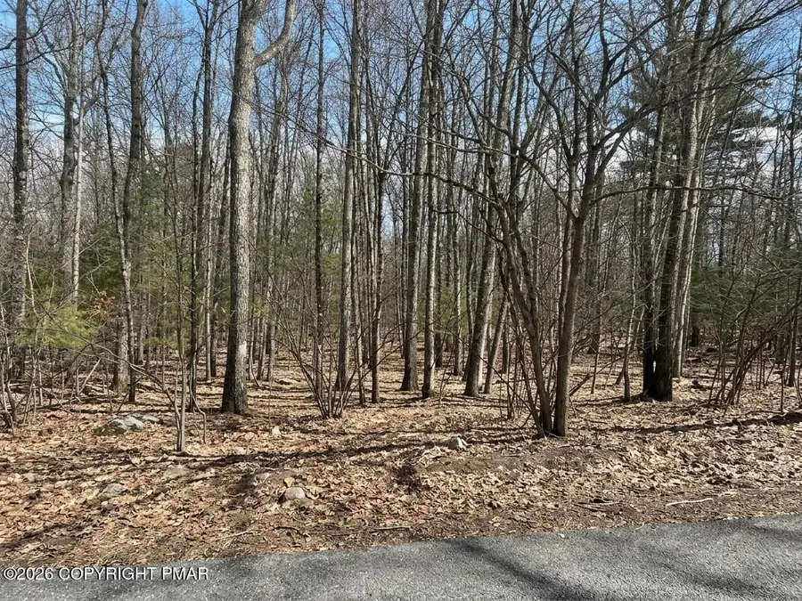 Lots 22 & 24 Daffodil Road, East Stroudsburg, PA 18302 - #2