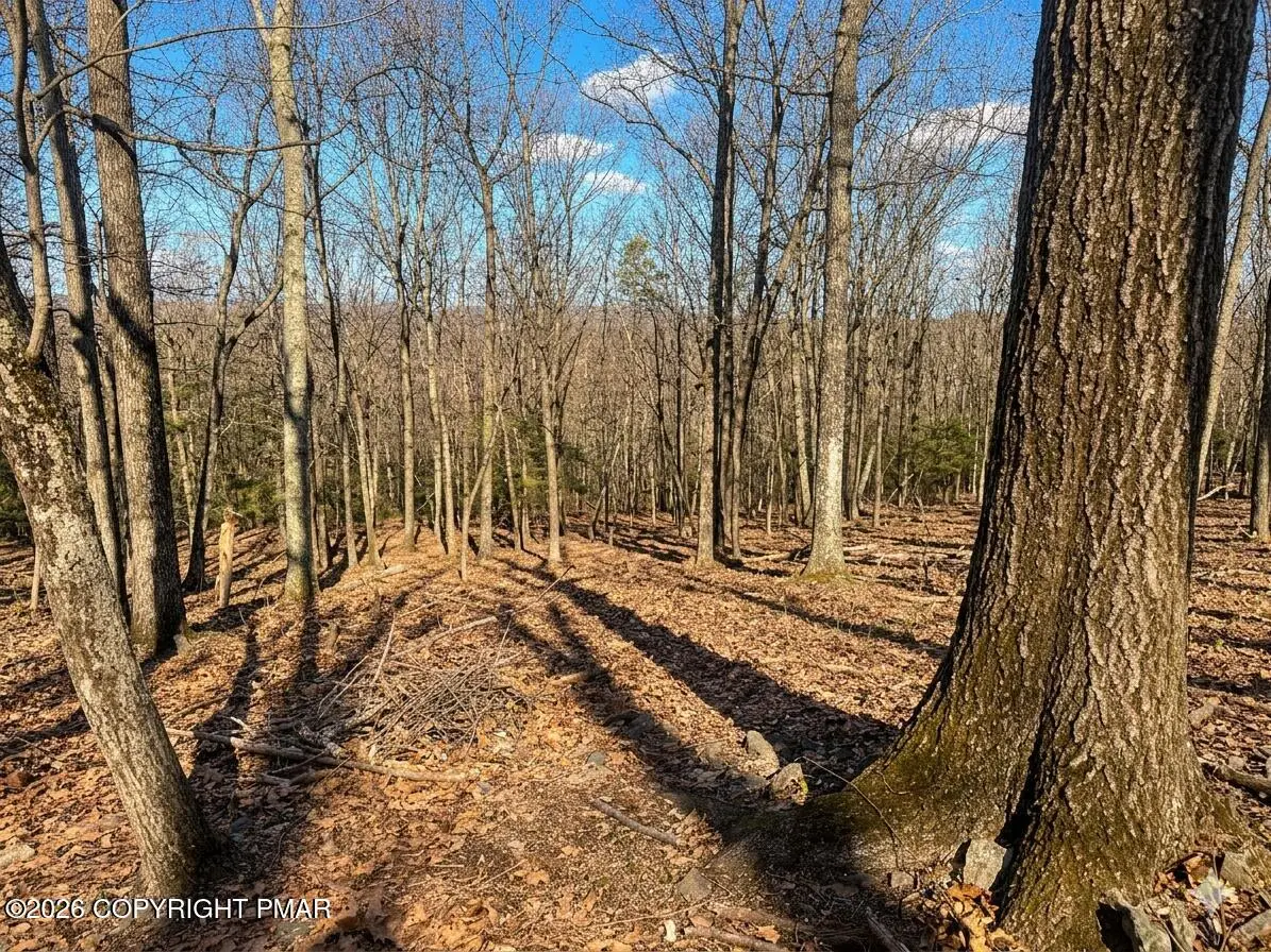 318 Cardinal Road, Cresco, PA 18326 - #1