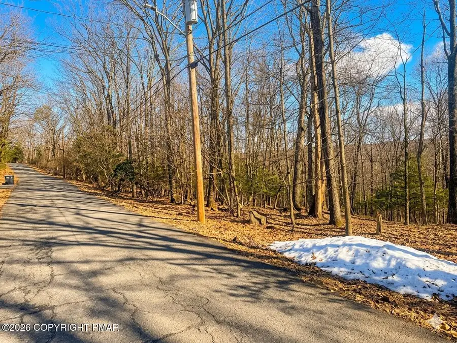 319 Cardinal Road, Cresco, PA 18326 - #3