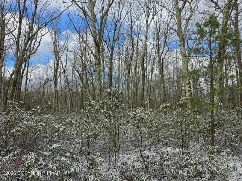 Lot E487 Choctaw Road & Saginaw Drive, Jim Thorpe, PA 18229 - #1