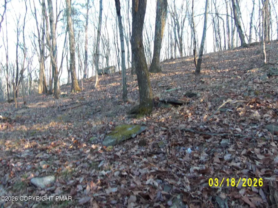 240 Powderhorn Road, Henryville, PA 18332 - #3