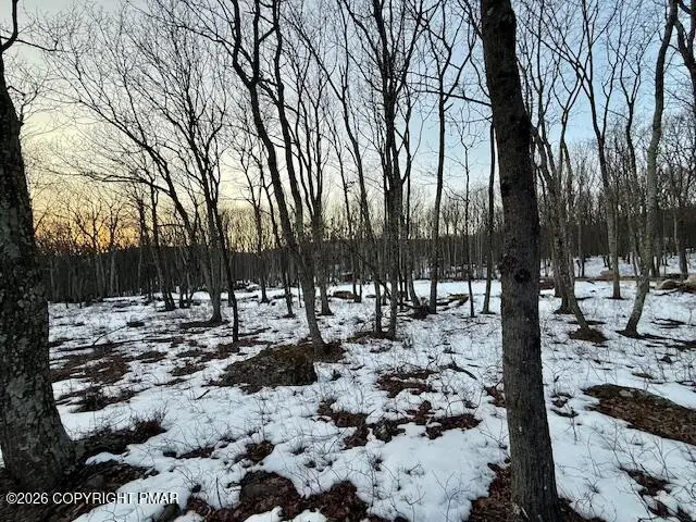 311 Rinker Road, Stroudsburg, PA 18360 - #3